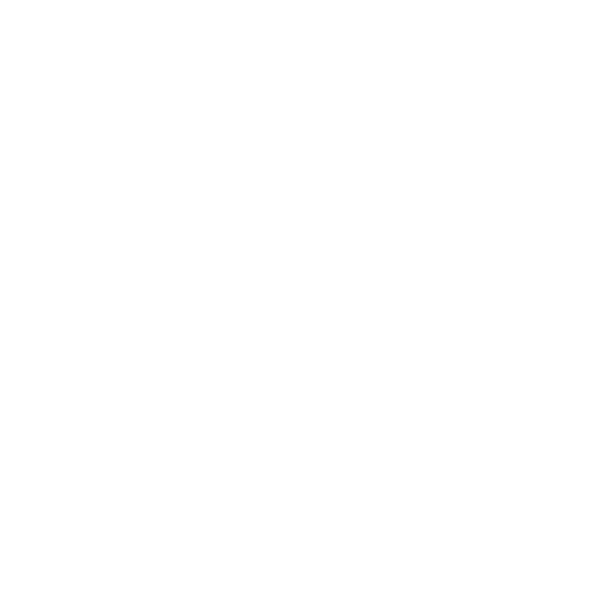 PhysioFIX-Monogram Icon White